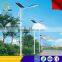 Applied in 50 Countries 30 Watt Solar Powered Energy LED Street Lights List