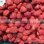 High Quality New Crop BRC Certified America 13 IQF Frozen Strawberry