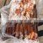 high quality frozen west africa squid whole round