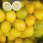Poland hdpe raschel vegetable mesh bag 42*60 for packing fruit mesh sack