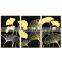 Black And Gold Leaf Decorative Framed Acrylic Art Wall Painting