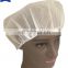 Disposable PP Bouffant Cap Medical round cap Non-woven nurse cap
