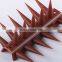 Latest Decorative Garden Pigeon Prevention PP Material Anti Repel Plastic Bird Spikes