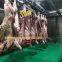 High Efficiency Automatic Halal Cattle Slaughtering Equipment Cattle Slaughter Production Line