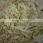 Cabbage Cutting Machine/Carrot Slicing Machine