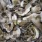 White Porcini Mushroom Dried Boletus price with High quality