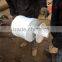 1KW Low RPM Vertical axis wind turbine