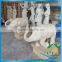 Antique garden ornaments