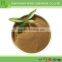 Liaoning factory lignin powder concrete curing compound high quality
