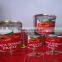 Tomato Paste 28/30 Factory supply tomato paste in can/tin