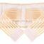 China Supplier Aofeite Double Pull Elastic Adjustable Magnetic Waist Trainer