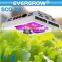 EverGrow 2016 newest SAGA full spectrum hydroponic 5 watt led grow light