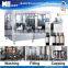Glass Bottle Carbonated Soda Water Filling Plant