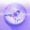 Wholesale colour printing dome shape clear glass crystal paperweight for gift items