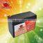 Sealed Lead Acid Battery VRLA Battery 12V 2Ah for Light
