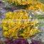 Natural Plants Fresh Cut Yellow Orchid Thailand For Party