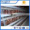 Professional chicken layer cage automatic with great price