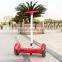 China Hoverboard 2 Wheel Self Balance Electric Scooter New Products 2016 With Bluetooth