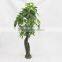 nearly nature artificial Pachira tree