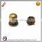Brass 6mm Sam Broune Stud Button