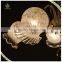 Hot Sale E14 Glass Shade Ceiling Lamp 5 Lights, Certificated Ceiling Lamp