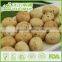 Leisure Snack Foods For All Age Cheese Flavor Coated Peanuts
