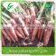 Fresh carrot production in china price