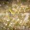 Competitive Price Fresh Horseradish