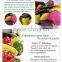 Dehydrated Mixed Fruit & Vegetable chips VF Healthy snacks