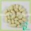 Blanched Peanuts 35/39 Haihua Type Peanuts