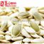 Lower Market Price of Chinese White Pumpkin Seeds