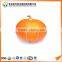 100% natural pumpkin seed oil with competitive price factory direct sales Refined