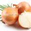 Onion From Viet Nam with best price and high quality