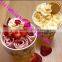 thailand roll fried ice cream machine/double pan cold plate for ice cream