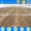 drip irrigation machine for drip irrigation system for trees Watering & Irrigation
