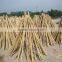 moso bamboo cane for decoration and construction