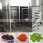 Small capacity grape drying oven/grape dehydration machine for sale