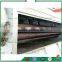 Continuous Onion Washer Industrial Potato Peeling Machine