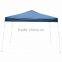 Outdoor 10 x 10 Feet Portable Canopy Gazebo Tent with Carry Bag