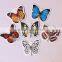 Creative cartoon adhesive wall hook Plastic adhesive wall hook