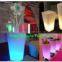 Garden Illuminated  Flower Planter