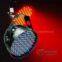 199-5mm LED lotus light / LED Par / Par LED / LED DMX Par