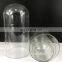 Wholesale High Quality Decoration Glass Bulbs Black Bottom Wooden Base Dome