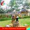Amusement Park Equipment Playground Dinosaur