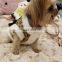 2020 winter new G&F pet clothes cat and dog cotton clothing pet supplies manufacturers wholesale