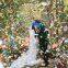 DMX 512 LED Electric Confetti Clower Color Paper Cannon Confetti Blower Machine Wedding Party Effect