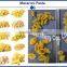 automatic high quality professional short pasta extruder