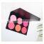 facial cosmetic blusher fashion natural color blusher palette