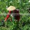 China factory supply industrial grade diammonium phosphate agricultural grade