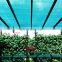Agricultural green sun shade Net UV Protection sun Garden Shade Netting for Greenhouse